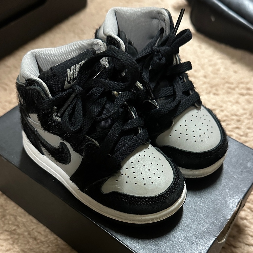 Jordan 1 Retro High OG (TD)